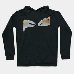 Tiny crab claws Hoodie